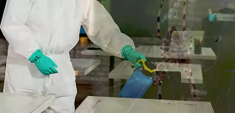 Why Buyers Still Want Homes With Pest Infestations in Santa Ana, CA?