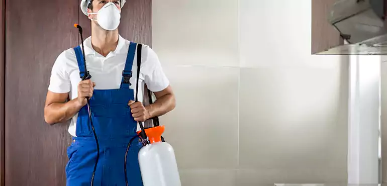 Why Santa Ana Homeowners Choose Us When Pests Make Selling Difficult
